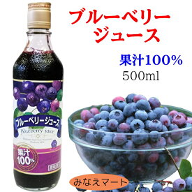 ブルーベリージュース 500ml果汁100％ 濃縮還元 無添加野田ハニー 果実飲料 フルーツ ジュース