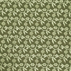 yH@Ƌސz wD ʋё唻C~ ȕ Ñʂ q@ i ji jԂ ꂢ nCZX  IG^ TCYIׂi8.񊘁j120c