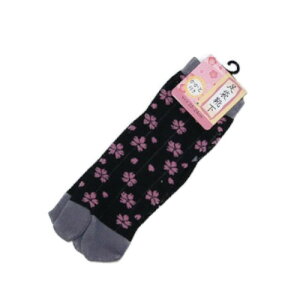 y܌Cz܃\bNX {w  lC a g_ v[g N ₦\h w r O\h   ܌Ci9.nɂj