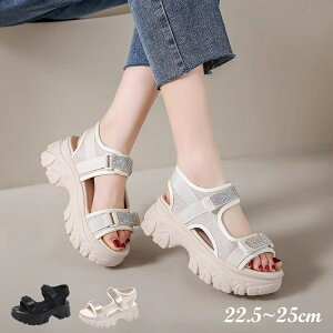 X|[cT_  fB[X LL ₷ T_  C RtH[g T_ X|TC T_ ɂȂ r[`T_ C X|[c T_ AEg