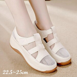 Xj[J[T_ X|[cT_  OJT_ fB[X ₷ T_  C RtH[g T_ X|TC T_ ɂȂ C AEghA  