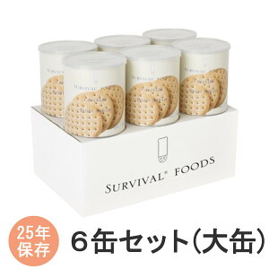 ToCot[Y@6ʃZbg()@NbJ[@H@ۑH@25Nۑ@ZCG^vCYypHiz