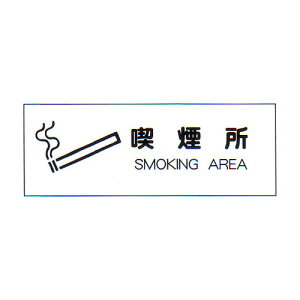 hWiSj@uiv@@TCYF100×300×1mm@ގFdrj[ yhЗpi/Wz