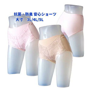 AR V[c 3L/4L/5L 吡 SV[c Z[teBV[c@RہEhLEv`iSV[citgEGXgSj֗pV[c@ARp@11.8ccfC\X VjA 