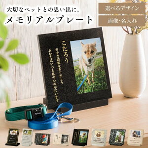 ~i~΍ VR΃Av[g 198mm×198mm×10mm/198mm×131mm×10mm Y J̃A mp_0001