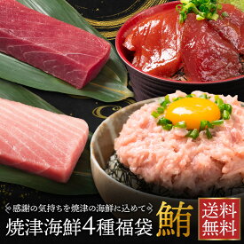 御中元 鮪 マグロ 冷凍 【 焼津セット メバチ中トロ 270g / メバチ赤身 200g / 鉢ネギトロ 100g / メバチ漬け 100g 】 焼津 海鮮 4種 福袋 メバチマグロ 中とろ まぐろ 赤身 柵 メバチまぐろ めばちまぐろ 刺身 鉢鮪 鮪 ネギトロ ねぎとろ まぐろたたき 漬けマグロ 父の日