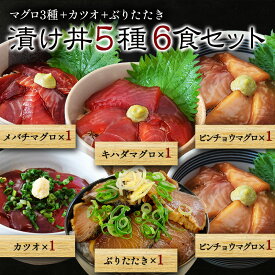 御中元 海鮮丼 セット 冷凍 【 漬け丼 6袋セット 6人前 メバチマグロ キハダマグロ カツオ ぶりたたき 各1袋 ビンチョウマグロ 2袋】 冬ギフト マグロ漬け 鮪 めばち きはだ びんちょう まぐろ マグロ 鰹 かつお ぶり ギフト プレゼント 海鮮セット お中元 父の日