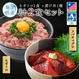 御中元 漬け丼 セット ギフト 海鮮丼 ねぎとろ 冷凍 小分け 【 ネギトロ 100g×1パック＋ 5種から選べる漬け丼 100g×1パック メバチマグロ キハダマグロ ビンチョウマグロ カツオ ぶりたたき 】 まぐろ マグロ 鮪 めばち きはだ びんちょう 鰹 かつお ぶり 海鮮 父の日