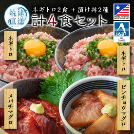 御中元 漬け丼 セット ギフト 海鮮丼 ねぎとろ 冷凍 小分け 【 ネギトロ 100g×2パック＋ 5種から選べる漬け丼 100g×2パック メバチマグロ キハダマグロ ビンチョウマグロ カツオ ぶりたたき 】 まぐろ マグロ 鮪 めばち きはだ びんちょう 鰹 かつお ぶり 海鮮 父の日