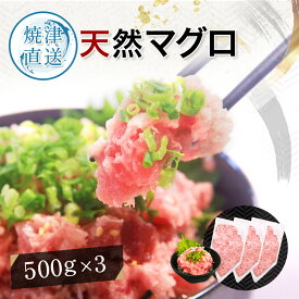 ネギトロ 冷凍 ねぎとろ 業務用 小分け まぐろのたたき まぐろ 【 まぐろたたき 500g × 3パック 】 ギフト プレゼント 贈り物 ネギトロ丼 海鮮丼 メバチマグロ めばち びんちょう鮪 目鉢鮪 ネギマグロ 海鮮丼の具 海鮮 お中元 父の日