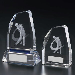 \NX^ iStj CM416 KX 3DHt yϔzy[U[ꖳz BgtB[