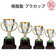 表彰カップ CP165 樹脂製プラカップ 【化粧箱入り】【レーザー彫刻名入れ無料】 即日発送在庫あり 南九州…