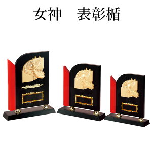 \| _ K5001 ؐk [t yϔzy[U[ꖳz BgtB[