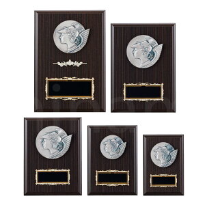 \| K5012 ؐk A`[t yϔzy[U[ꖳz  BgtB[