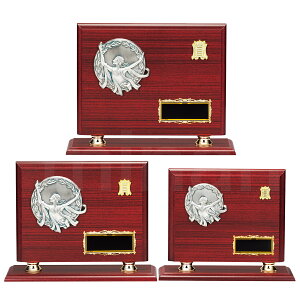 \| _ K5017 ؐk A`[t yϔzy[U[ꖳz  BgtB[