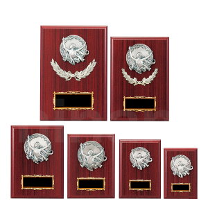 \| _ K5022 ؐk [t yϔzy[U[ꖳz BgtB[