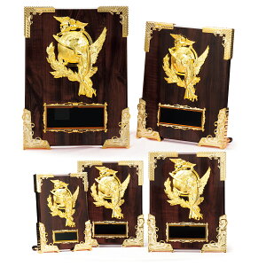 \| _ K5070 ؐk yϔzy[U[ꖳz  BgtB[