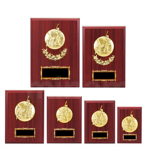 \| i싅j K5102 ؐk yϔzy[U[ꖳz  BgtB[