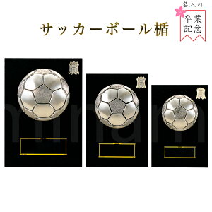 \| iTbJ[j K5108 ؐk A`[t yϔzy[U[ꖳz  BgtB[