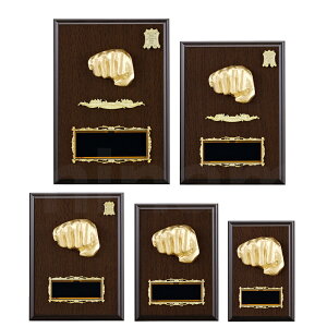 \| ij K5123 ؐk A~[t yϔzy[U[ꖳz BgtB[