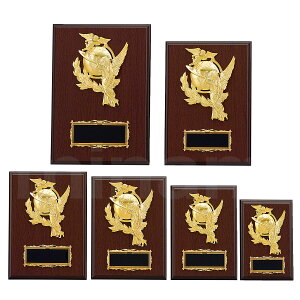 \| _ K5202 ؐk yϔzy[U[ꖳz BgtB[