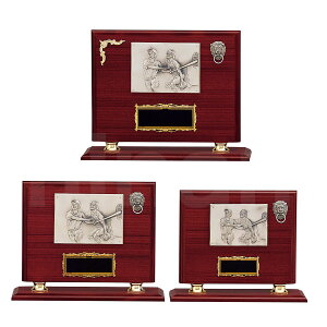 \| i싅j K5206 ؐk A`[t yϔzy[U[ꖳz BgtB[