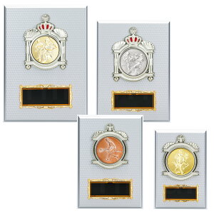 \| KV5424 ؐk yϔzy[U[ꖳz BgtB[