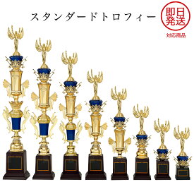 表彰トロフィー T3029 樹脂製 【化粧箱入り】【レーザー彫刻名入れ無料】 即日発送在庫あり 南九州トロフィー