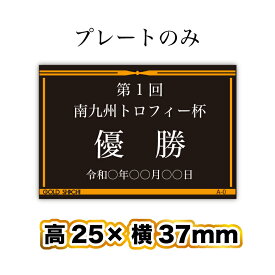 プレートのみ 黒プレート白銀文字★既製アルミプレートA-0・長方形(高25×横37mm)【レーザー彫刻】【メール便対応】 表彰 トロフィー 優勝 カップ メダル 再利用 交換 ネームプレート 銘鈑 銘板 名入れ その他使い方はいろいろ