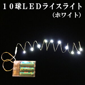 LED Cg dr C~l[V 10LEDCXCg POdr3{ʔ