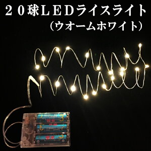 LED Cg dr C~l[V 20LEDCXCg POdr3{ʔ