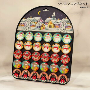 NX}X NX}X}Olbg30 fBXv[{[ht 킢