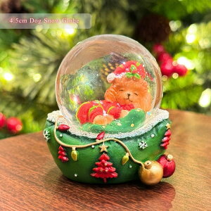 |W T^̃Xm[h[bKX45mm NX}X CeAu