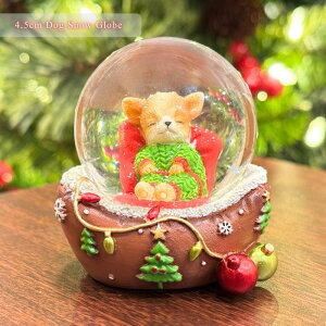 T^ƃ̃Xm[h[b|W NX}XIuWF CeAG KXh[45mm