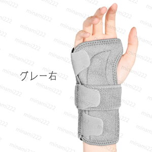 z117#T|[^[ Œ {  ی ewT|[^[ F≊  ɂ P ʋC jp ×p ֐߉ ֐ߒ XgK[h