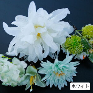 h180#  3color U  l   a ܎O wAANZT[  wbhhX  l 񂴂 w EFfBO