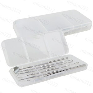 br96#デンタルケア 日本国内当日発送 歯石取り器具 6本セット 歯用ツール ステンレス製 ヤニ 歯垢 しこう取り 口臭 予防 歯石除去 自分 スケーラー 自宅用 歯磨き 口腔 衛生 携帯用 送料無料