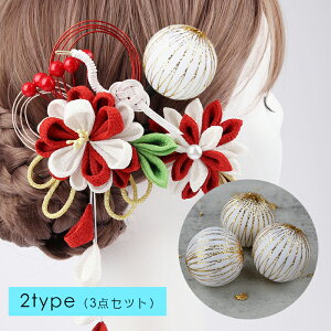 ʏ  { 3_Zbg 15type  a {[  a wAANZT[ |ޗ wAAW  ANZT[p[c  #y8