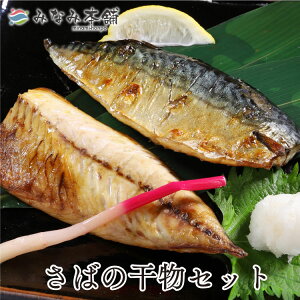 半額 以下 送料無料 三陸産 金華鯖の干物セット※半身8枚 さば サバ お取り寄せ 産地直送 自社製造