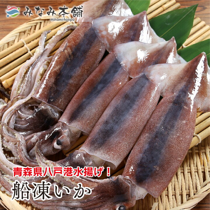 楽天市場 1000円ｏｆｆ 数量限定 送料無料 国産 生食用 スルメイカ 大サイズ4杯セット 新鮮な獲れたてイカを船で急速冷凍 塩辛や刺身がお勧め いか 烏賊 みなみ本舗