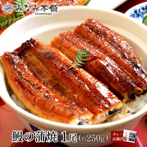 Ȃ  Y V̊ 1 250g ^ERt Mtg  jzEiM  Ⓚ 蕨 Ε 䒆 ̓ ̓ hV̓ ypN̓