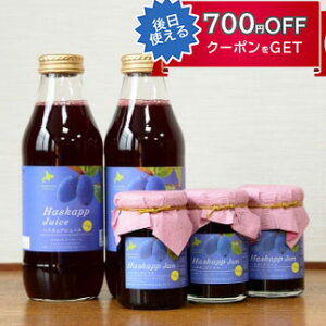 Ε nXJbvl`W[X500ml×2{EW150g×3r oCIAO Mtg ̂Ή ~Mtg