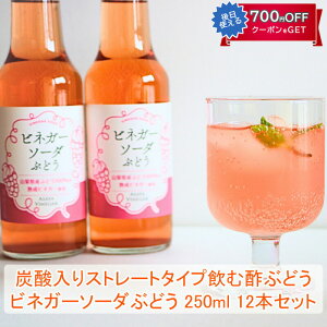 Y rlK[\[_Ԃǂ250ml×12{Zbg ATHi rlK[hN AsayaVinegar