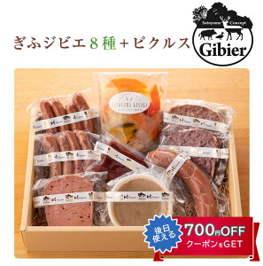 Ε VLg[Zbg 8 v780g{ƐsNX250giӃWrGj VLg[X@R LTGtA[Jpj[Y Mtg ̂Ή ~Mtg