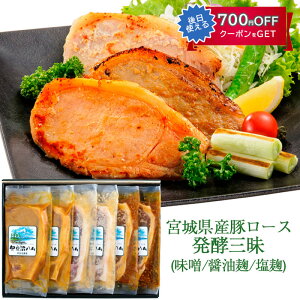 Ε {錧Y؃[X yOl@6iXЂEݖЂEЂ@3e2j I-207 ɓn ɓ_Y Mtg ̂Ή ~Mtg