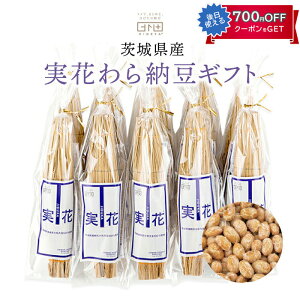 錧Y ԁij[Mtg@70g × 10{Zbg 錧Y[哤gp Ђ̔[ HIGETA