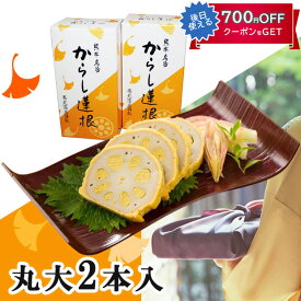 お中元 2026 父の日 熊本名産 からし蓮根　2本入り 高見商店 れんこん・レンコン ギフト のし対応可 夏ギフト 御中元