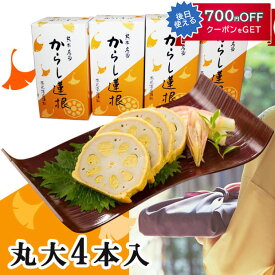 お中元 2026 熊本名産 からし蓮根　4本入り 高見商店 れんこん・レンコン ギフト のし対応可 夏ギフト 御中元