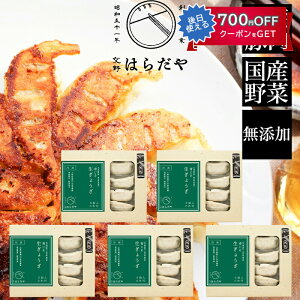 ͂炾@Lq40i85j Y Yf Mtg ̂Ή