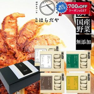 【29日23時59分まで!対象商品5%OFF★ご新規様クーポン】お歳暮 交野はらだや 生餃子4種5個(ノーマル2個・青じそ1個・牛すじ1個・九条ねぎ1個)ギフトボックス入りセット 無添加 国産素材